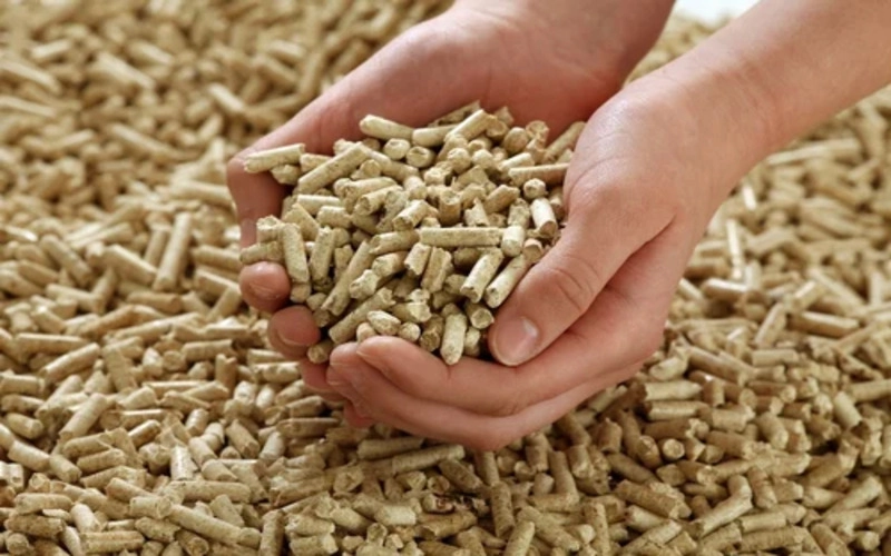 Biomass Briquettes: The Smart Alternative to Traditional Coal for Industrial Heating