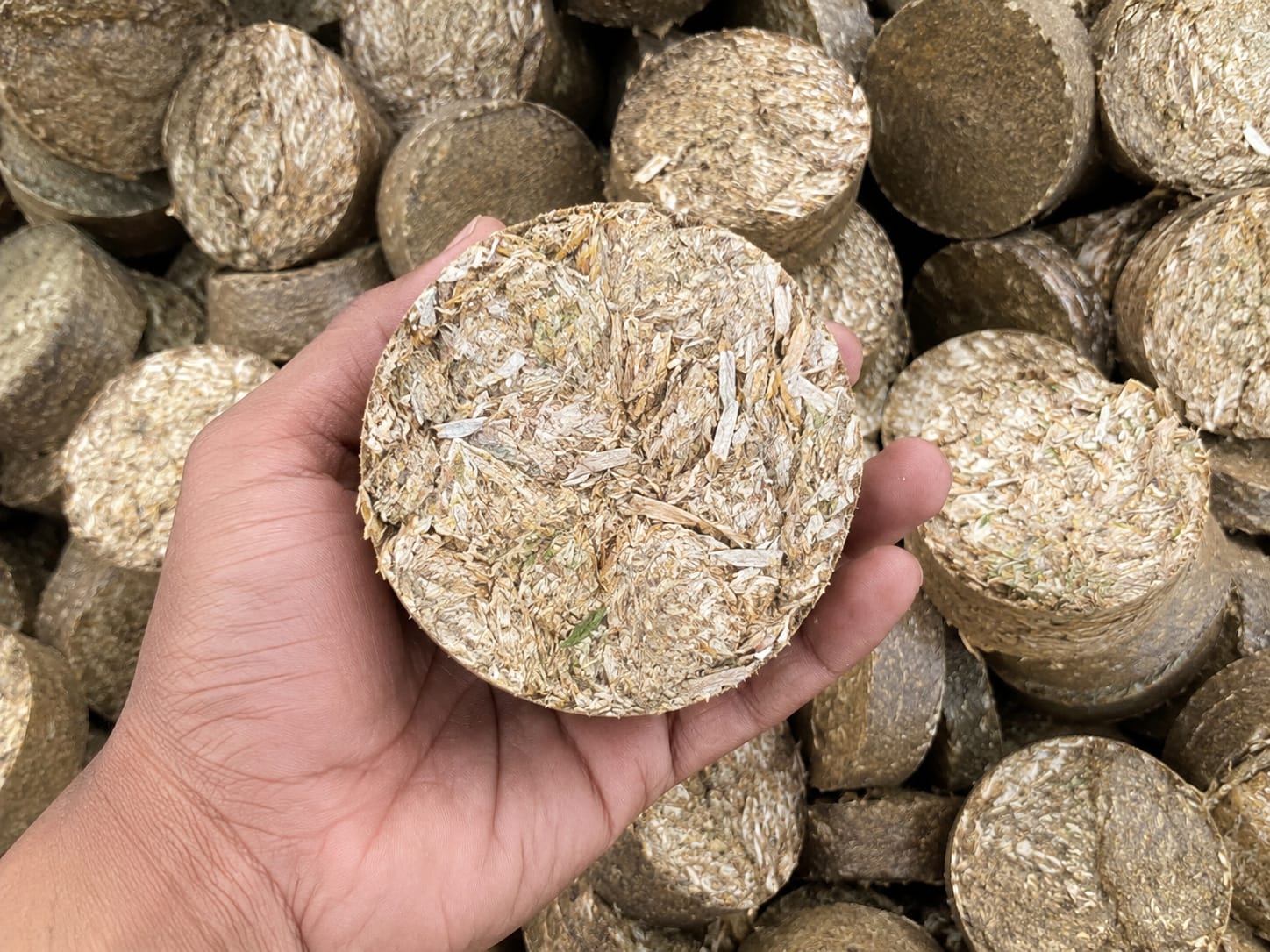 Biomass Musterd husk Briquettes