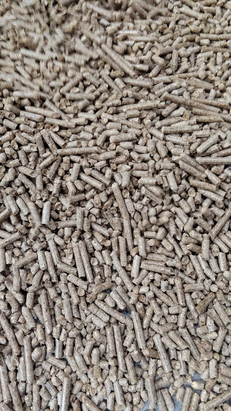 Musterd pellets