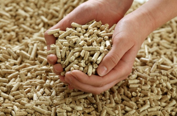 Pin Wood Pellets